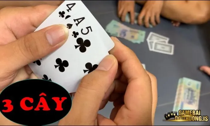 3 cây mayclub Quan tâm đến luật chơi khi tham gia 3 cây