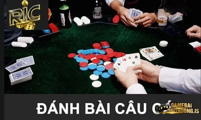 Bài câu cá Ric Quy tắc chia bài tại câu cá Ric