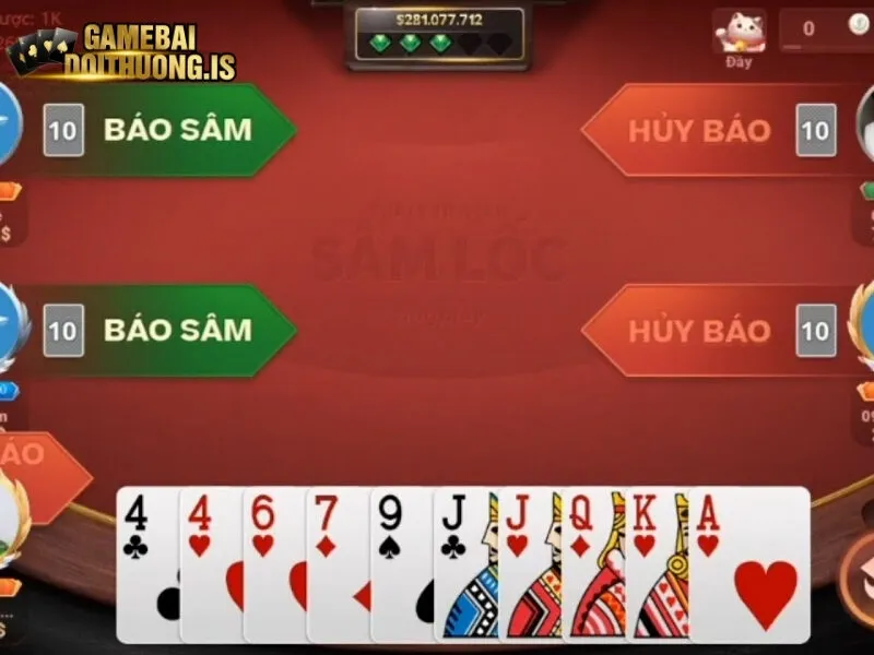 Báo sâm và kinh nghiệm chiến thắng từ cao thủ