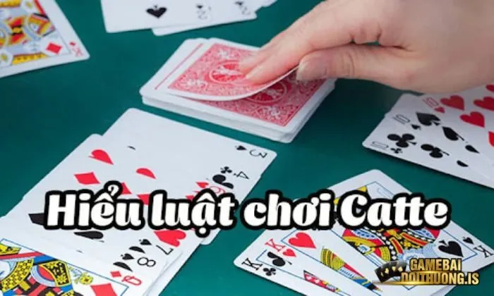 ca Các vòng cược chi tiết trong game bài catte của Gemwin
