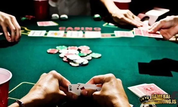 Catte Top88 Cách chơi bài Catte Top88 ở vòng thứ 6 đơn giản