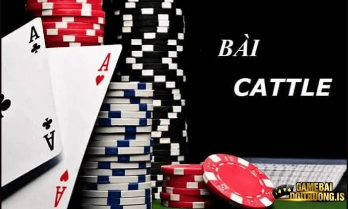 Catte Vip79 Catte Vip79 cũng sử dụng bộ bài tây 52 lá để chơi.