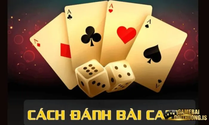 Catte Vip79 Luật chơi Catte