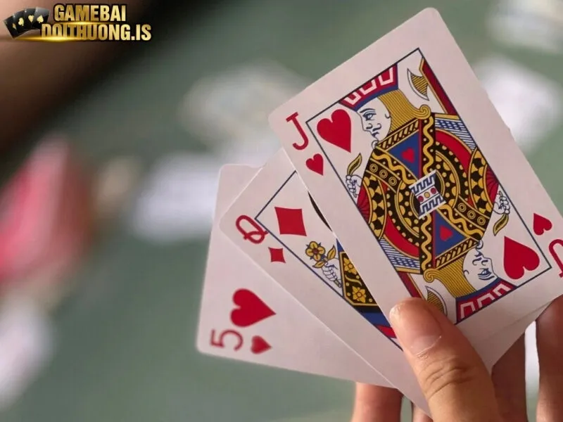 Kinh nghiệm tham gia 3 cây dễ hiểu nhất