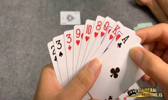 Tá lả Mayclub Trong trò chơi Tá lả có một số thuật ngữ cơ bản mà người chơi nên biết