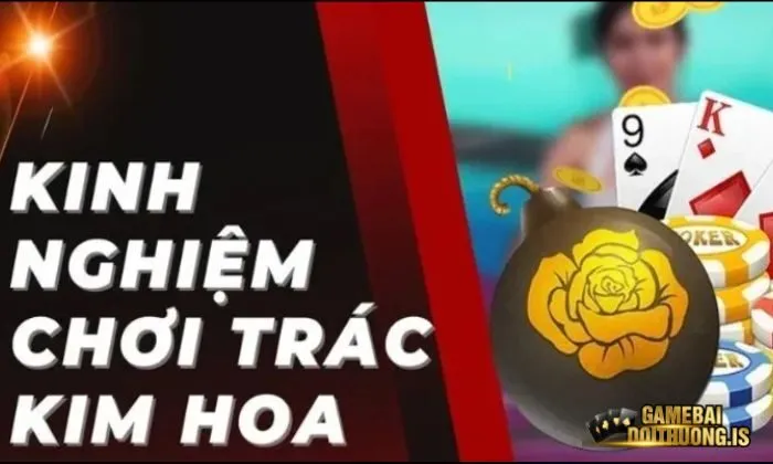 Trác Kim Hoa Gemwin Lên kế hoạch, mục tiêu đặt cược rõ ràng