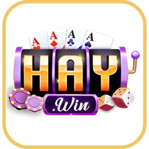 haywin logo